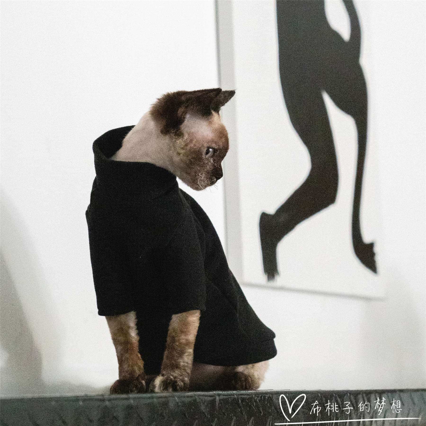 猫服  防寒服 | モックネック猫ちゃん用フリーストップス