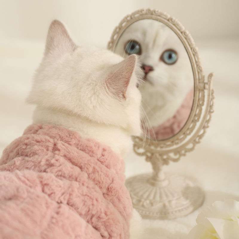 猫服  防寒服 | もこもこ猫ちゃんベスト