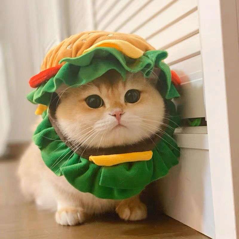 猫服  帽子 | ねこちゃん用ハンバーガーコスプレ