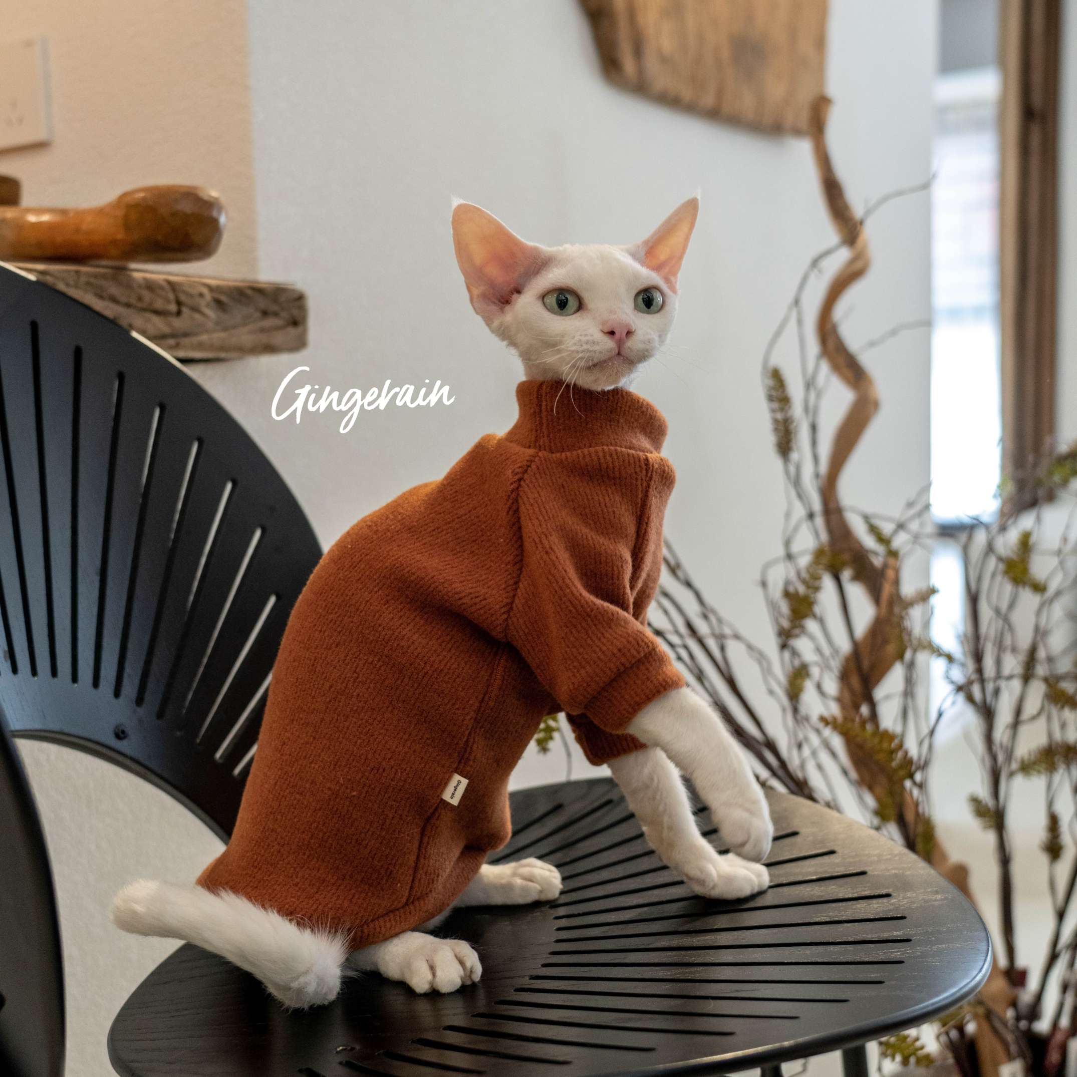 猫服  防寒服 | もこもこ猫ちゃんタートルネック