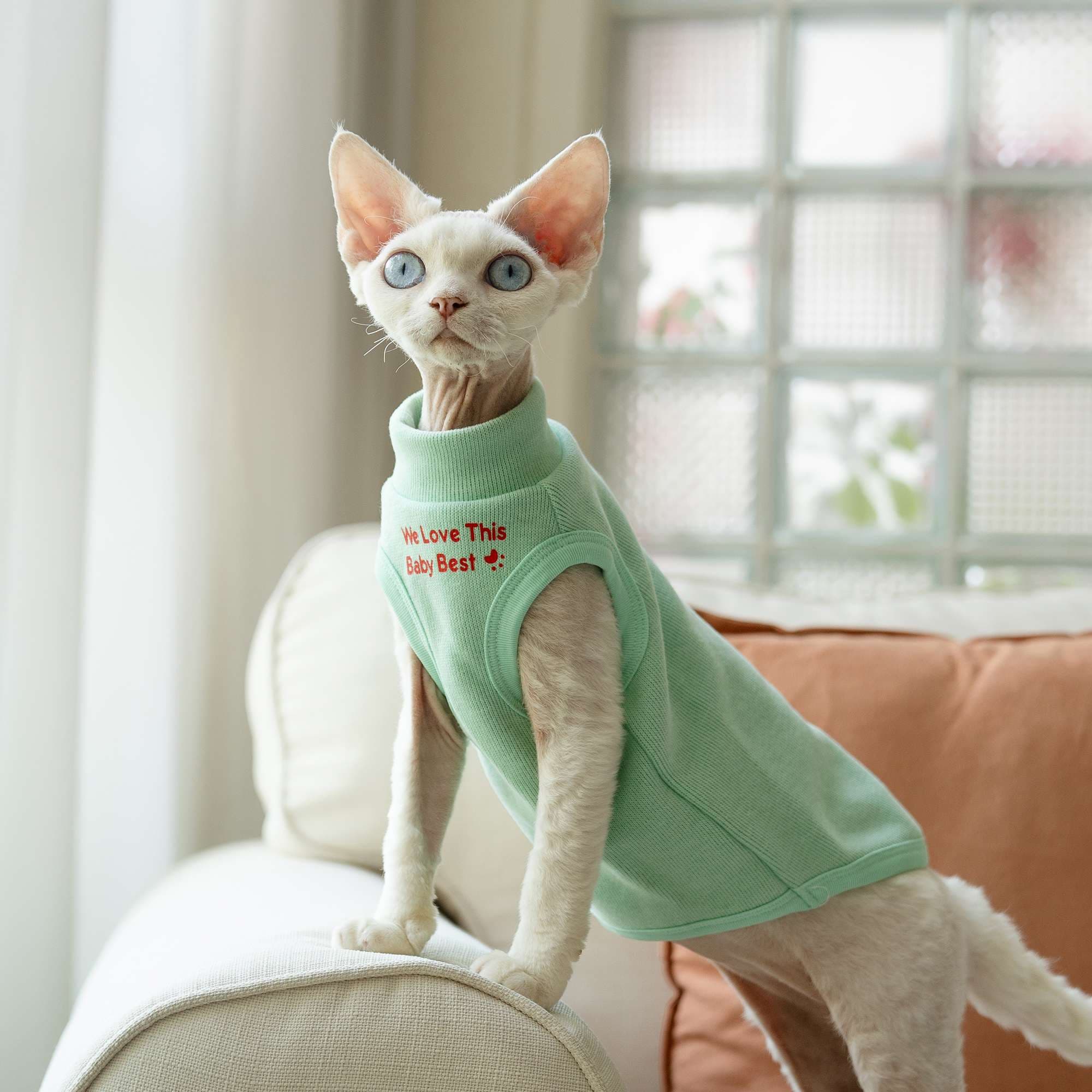 猫服  スフィンクス | スフィンクス用あったかベストウェア