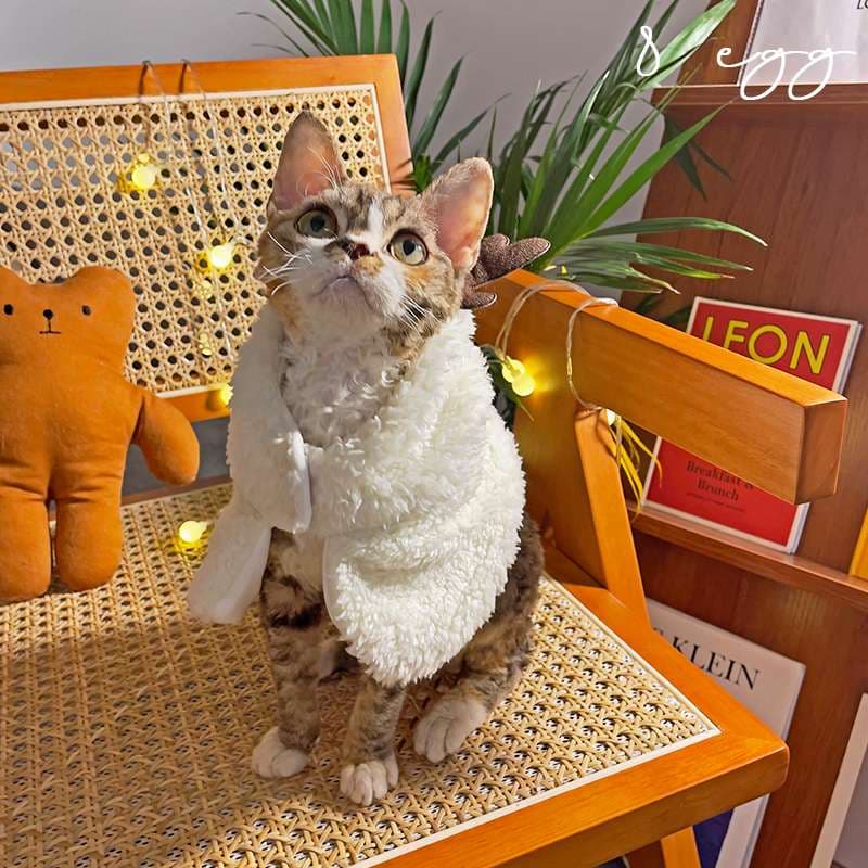猫服  コスプレ | ペット用ホリデーコスチューム3点セット
