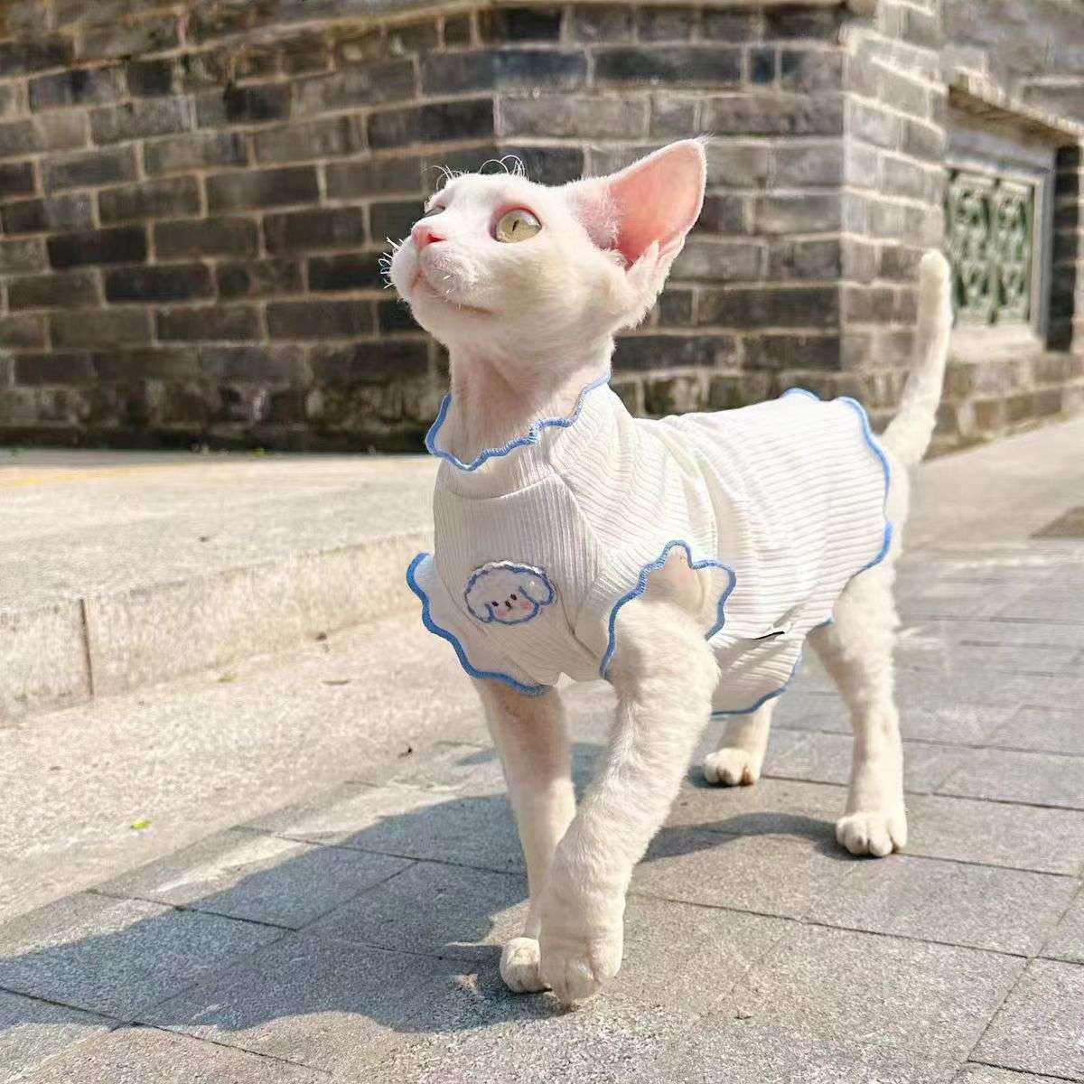 猫服  洋服 | もふもふ耳猫ちゃん用フリル付きボディスーツ