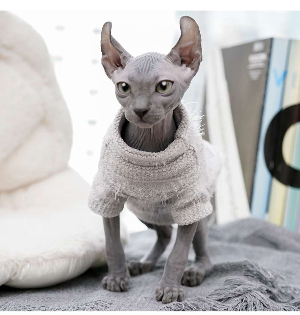 猫服  スフィンクス | もこもこシャツで暖かスフィンクス