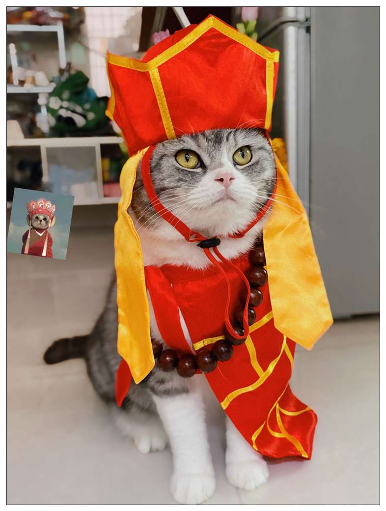 猫服  コスプレ | 福運招く僧侶風ペット着物