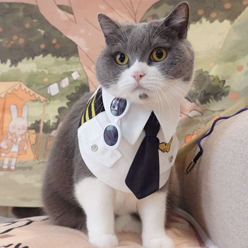 猫服  コスプレ | 猫用パイロット制服コスプレセット