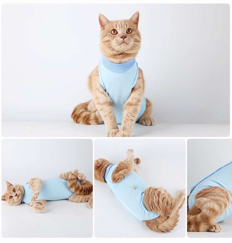 猫服  エリザベスカラー