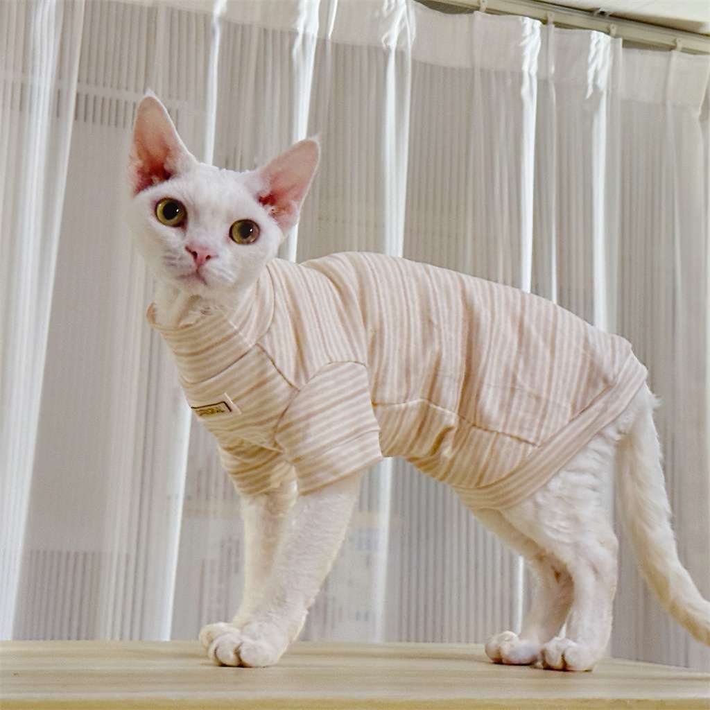 猫服  術後服 | もこもこ猫ちゃん術後服