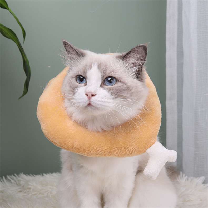 猫服 猫 エリザベスカラー | もふもふペット用食パンカラー