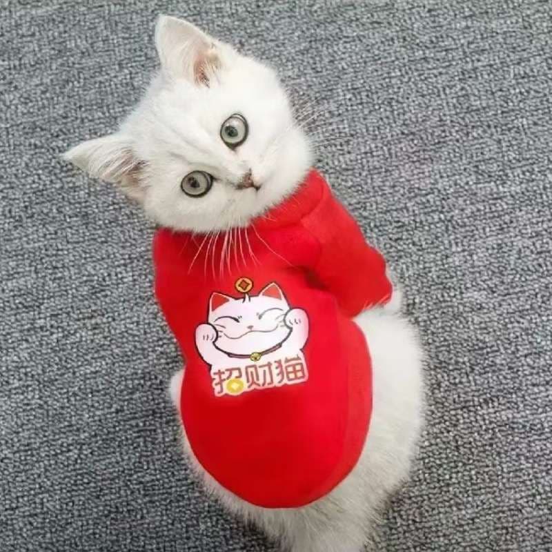 猫服  洋服 | 招き猫プリント猫用Tシャツ