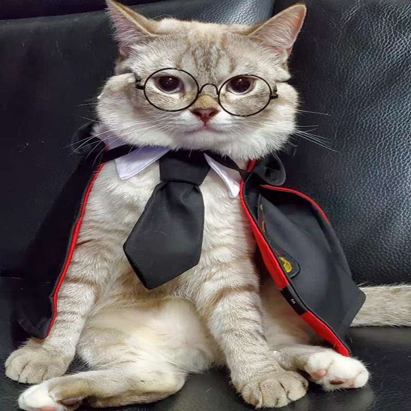 猫服  コスプレ | 魔法学校風 猫用ローブ