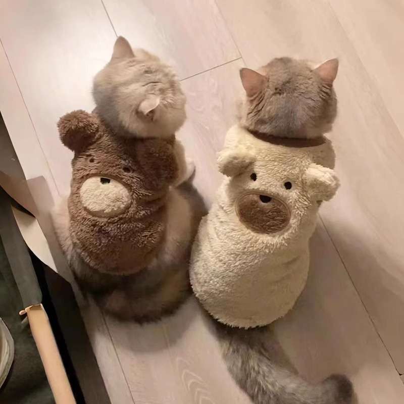 猫服  防寒服 | もこもこクマさん猫用パーカー