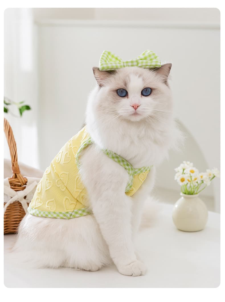 猫服  洋服 | ギンガムチェックリボン付き春待ちベスト