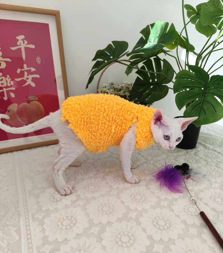 猫服  スフィンクス | モコモコあったかスフィンクスキャットウェア