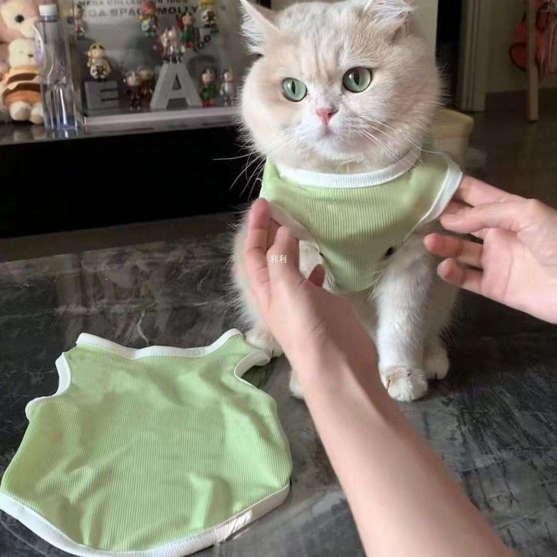 猫服  洋服 | もこもこ猫ちゃん用タンクトップ