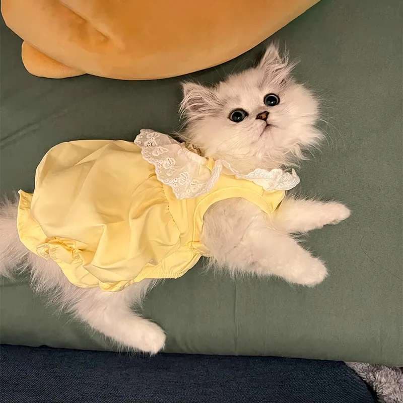 猫服  洋服 | ふわもこ猫ちゃん用レース付きワンピース