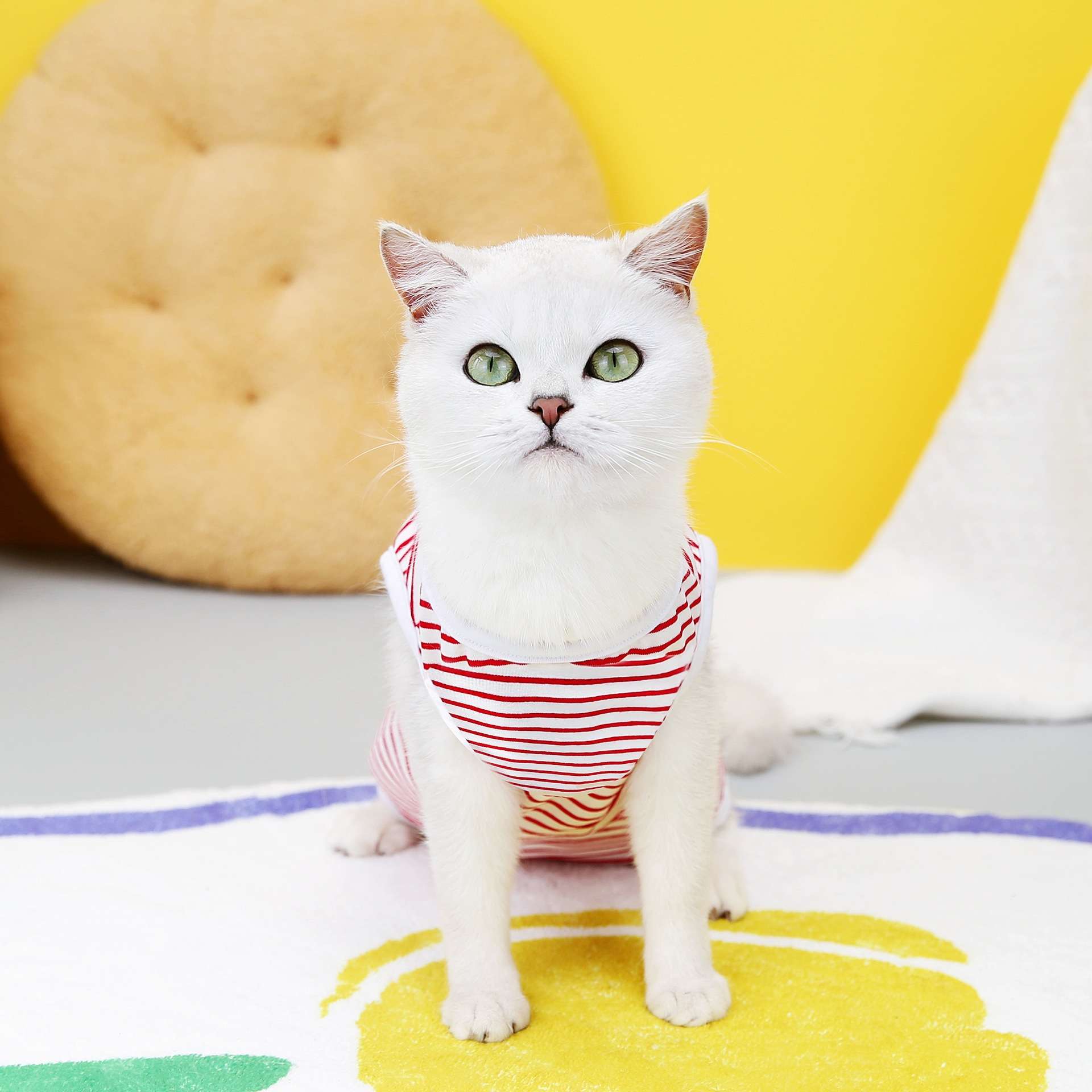 猫服  術後服 | ナチュラル術後ウェア