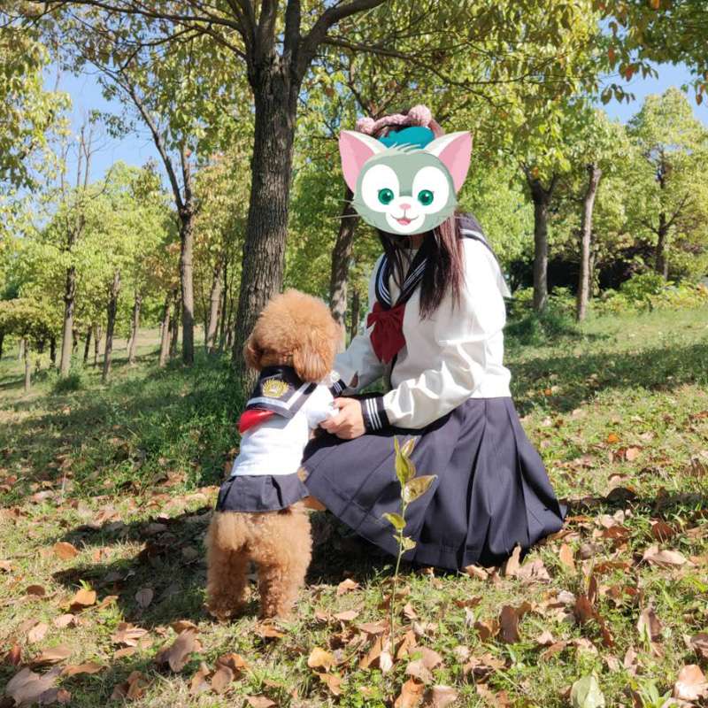 猫服  コスプレ | ペット用セーラー服コスチューム