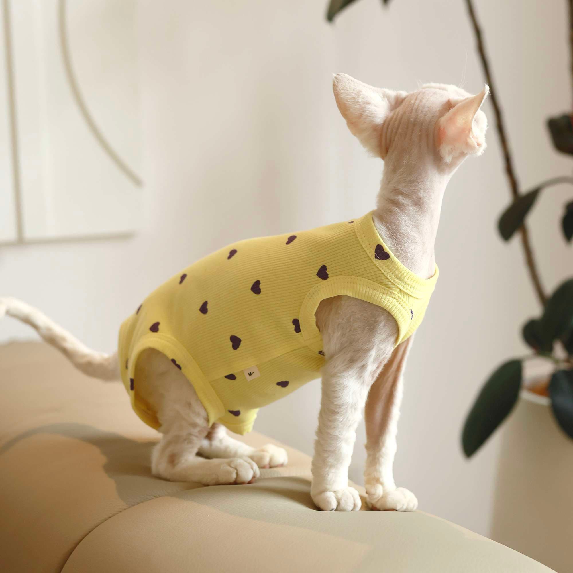 猫服  洋服 | ハートドット柄キャットウェア