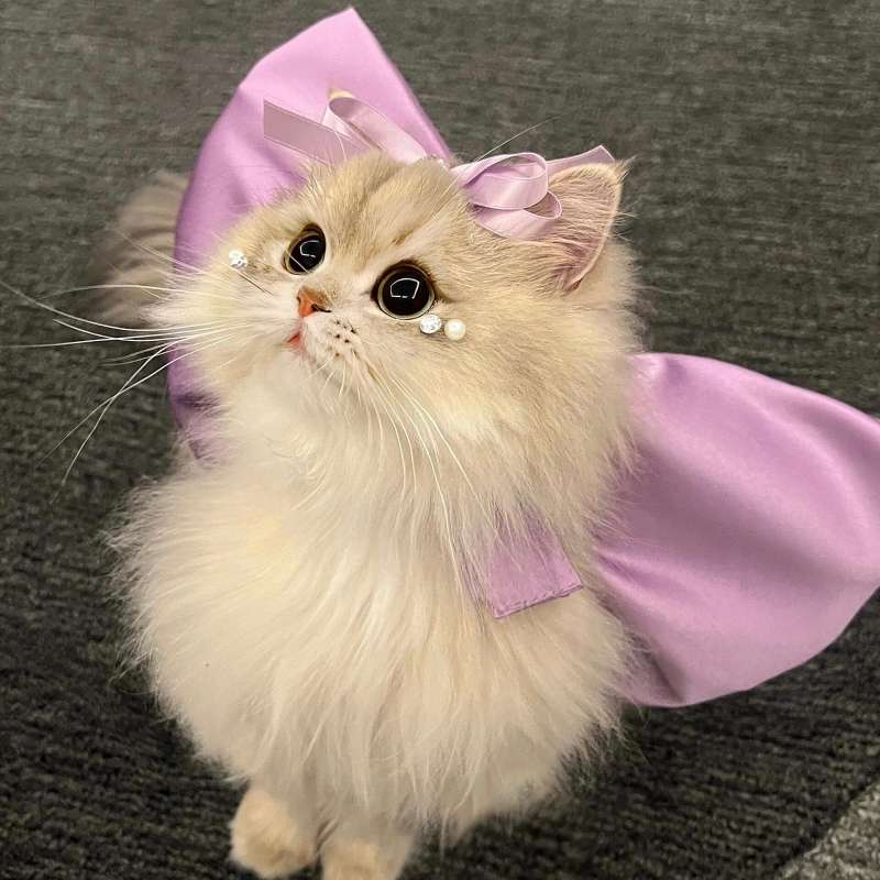 猫服  帽子 | ふわふわ姫様リボン猫耳キャップ