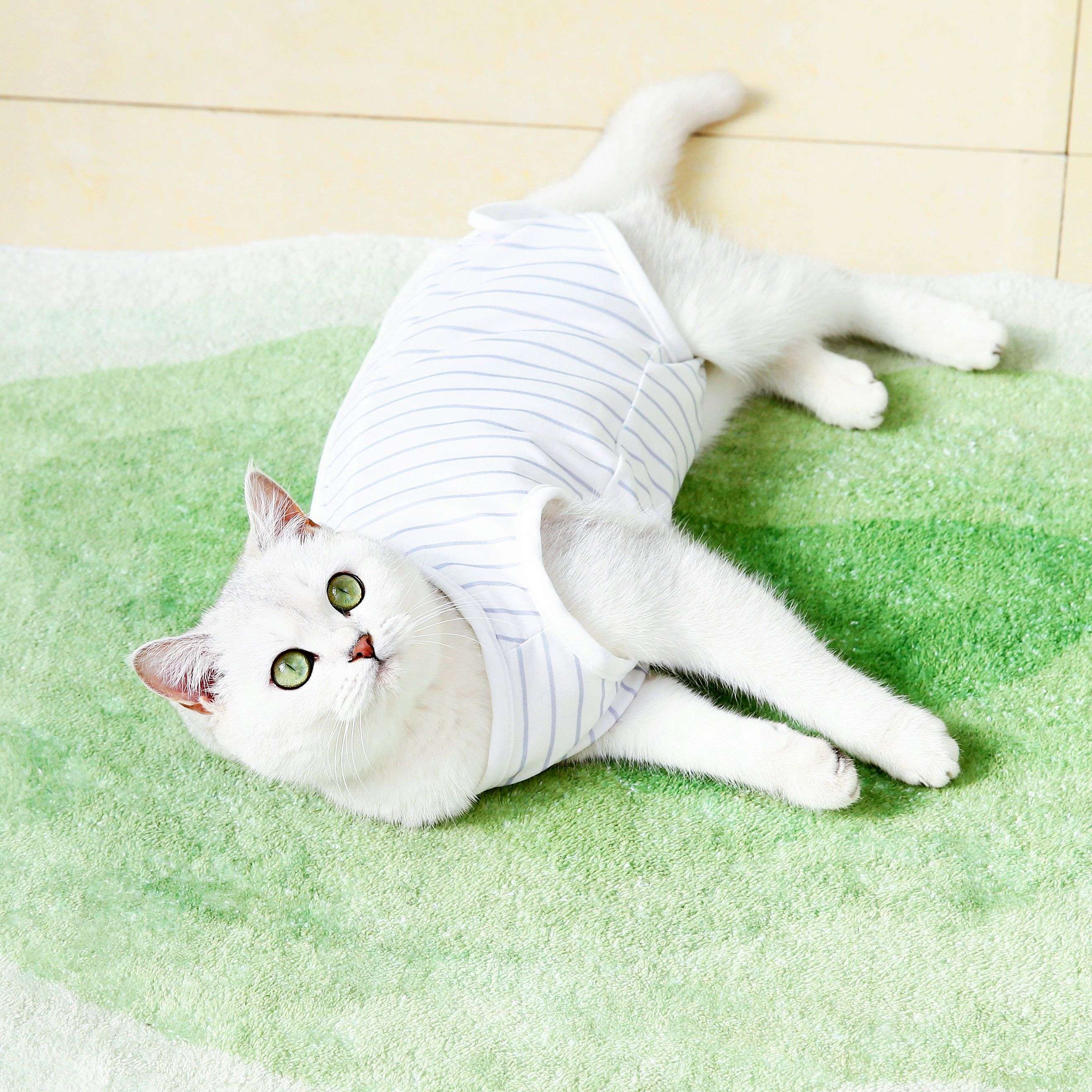 猫服  術後服 | もふもふ猫ちゃんの優しい術後ウェア