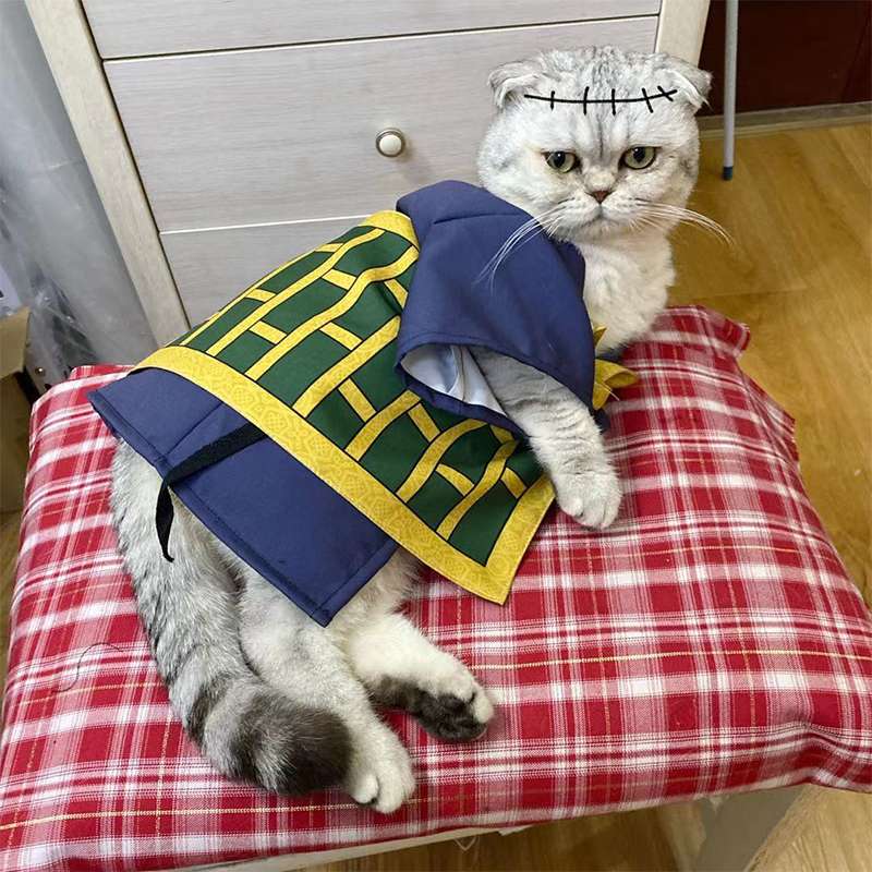 猫服  コスプレ | おしゃれな和風のコスプレ！侍スタイルに大変身！