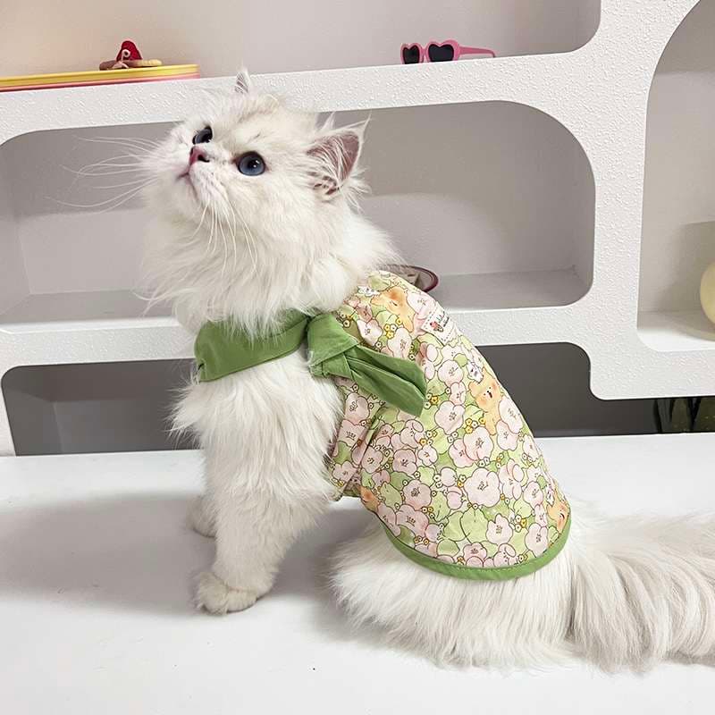 猫服  洋服 | ふんわりレース襟の猫用ワンピース