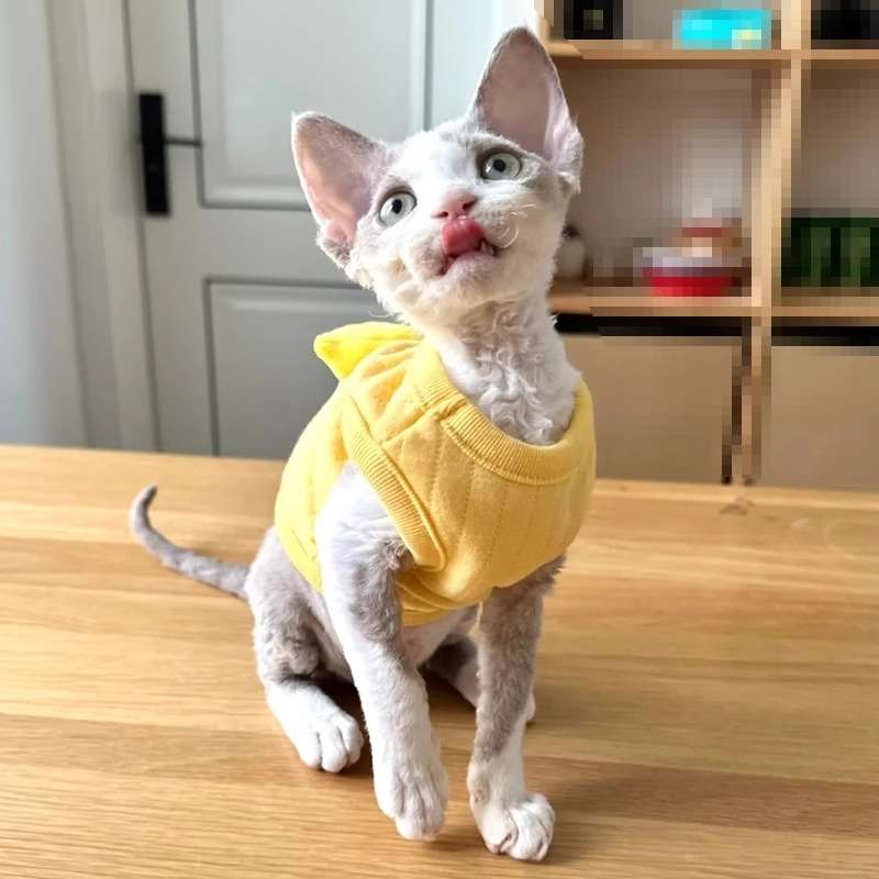 猫服  コスプレ | ヒヨコ風ペット用コスチューム