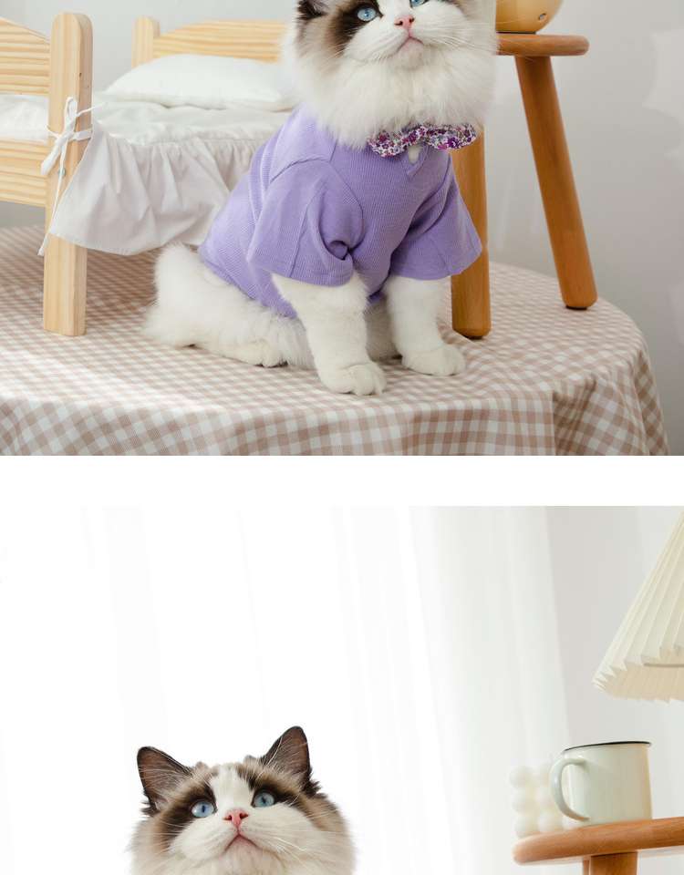 猫服  洋服 | ふわもこ猫ちゃんの季節のお洒落トップス