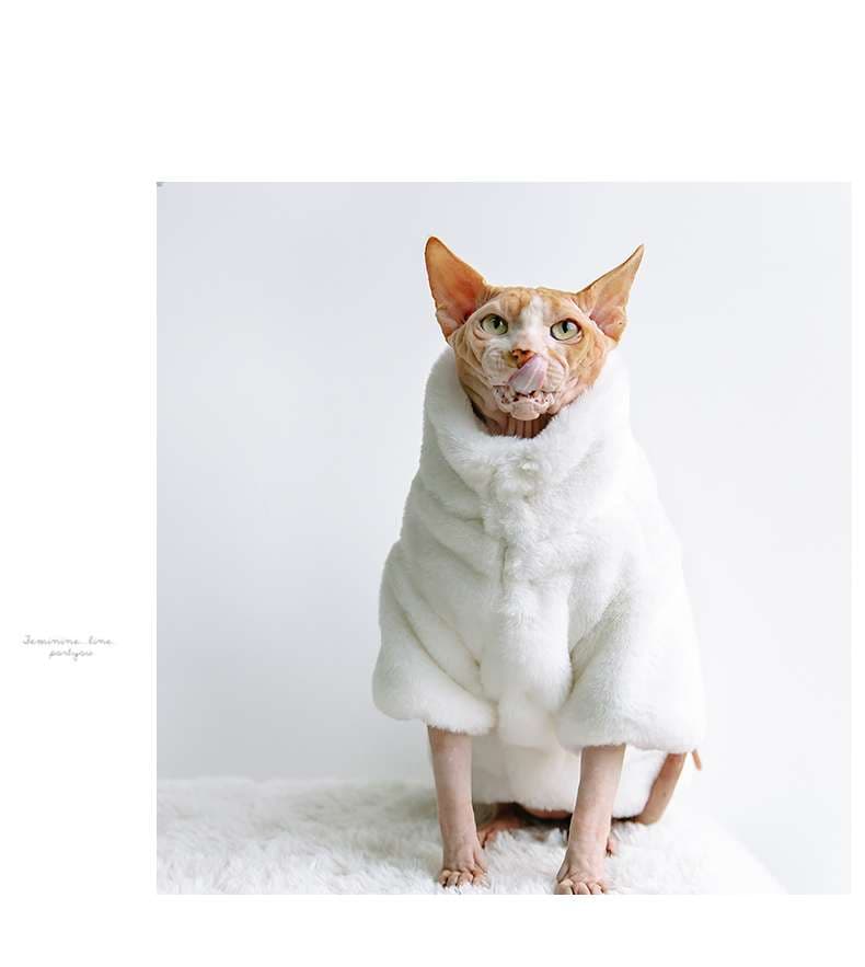 猫服  防寒服 | もこもこ猫ちゃんケープ 冬の防寒着