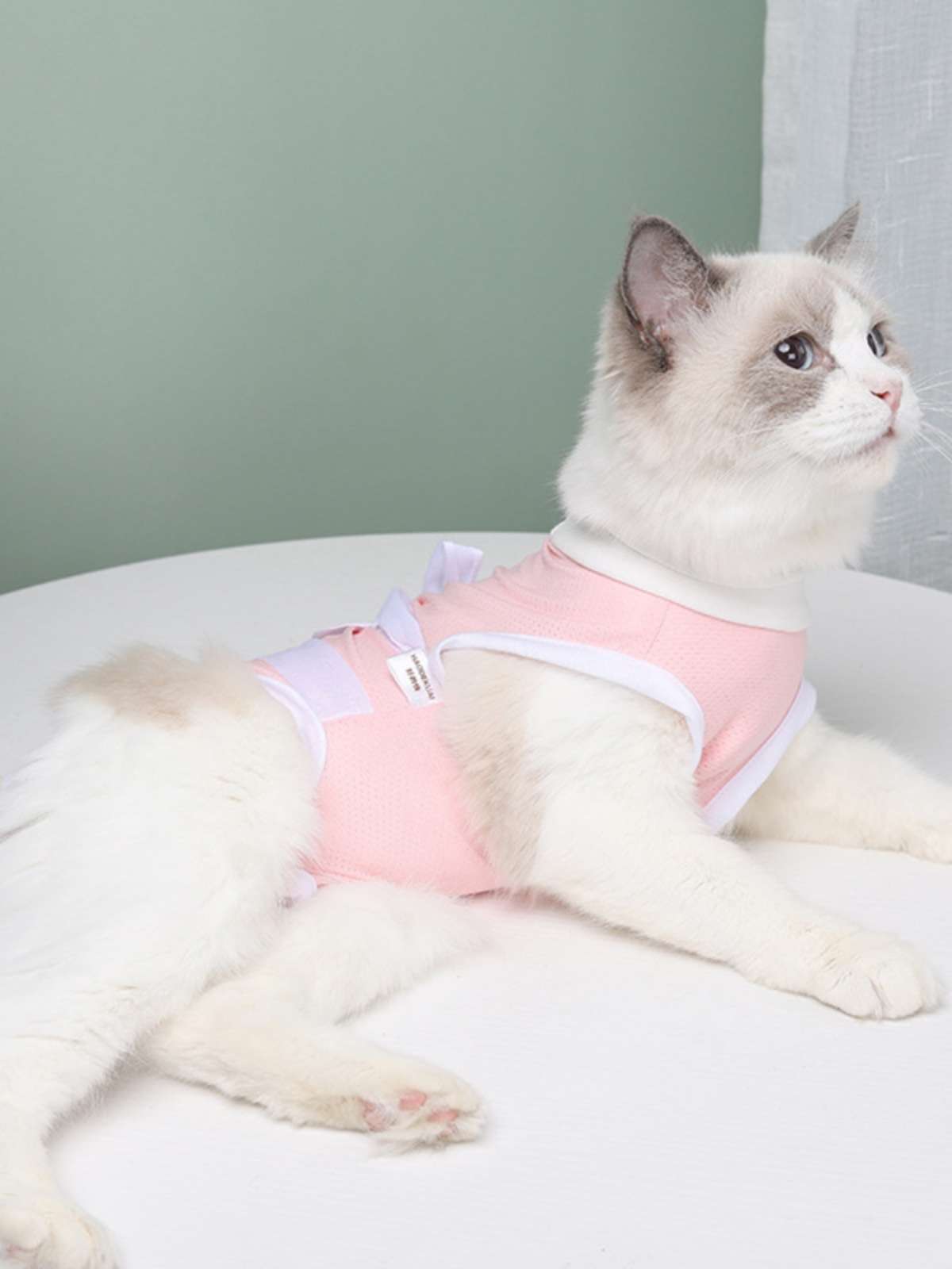 猫服  術後服 | やわらか術後ウェア 猫用リボン付き