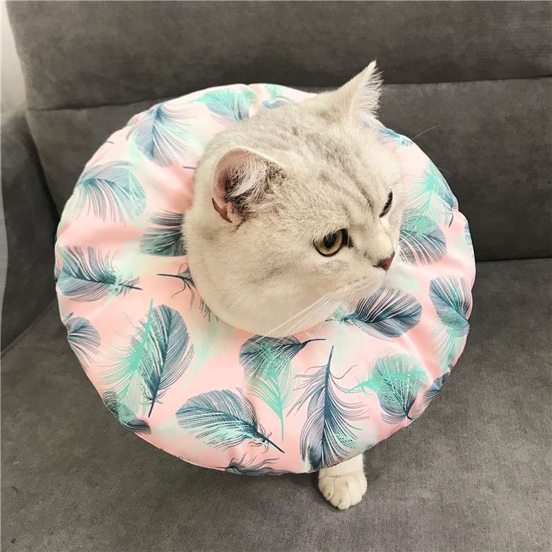 猫服 猫 エリザベスカラー | 猫用かわいいイラスト柄エリザベスカラー