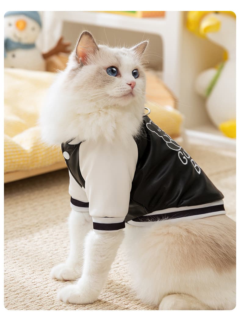 猫服洋服 くまちゃんプリントスタジャン
