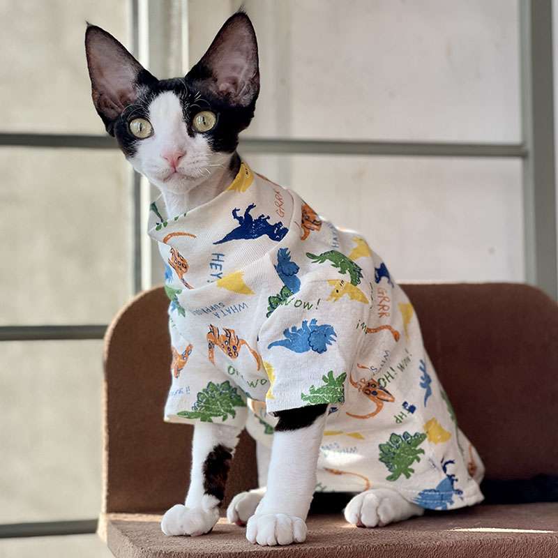 猫服  スフィンクス | スフィンクスの季節のお洒落服