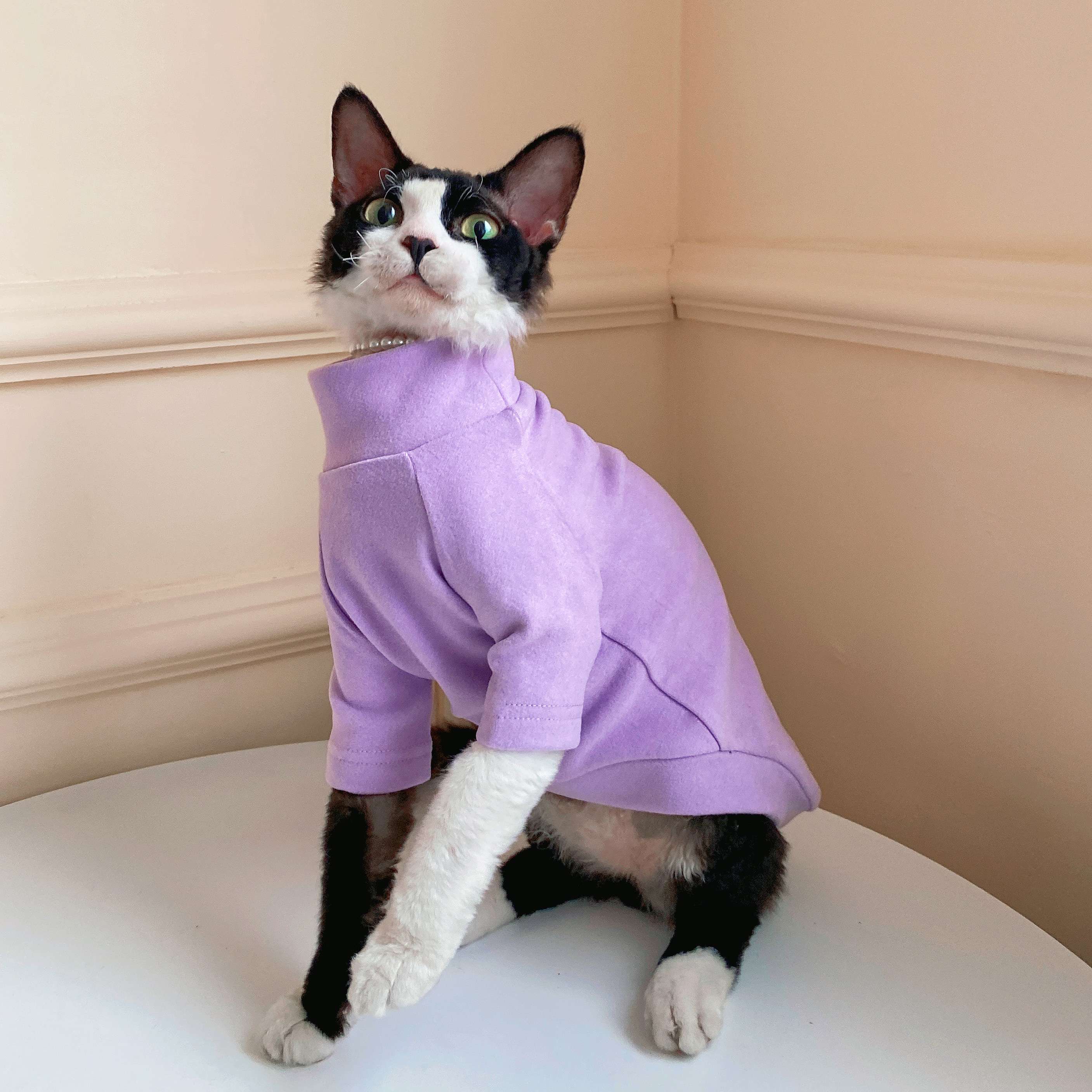 猫服  術後服 | にゃんこの優しい術後ウェア