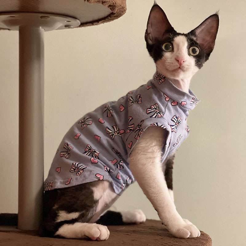 猫服  スフィンクス | スフィンクスの季節のお洒落服