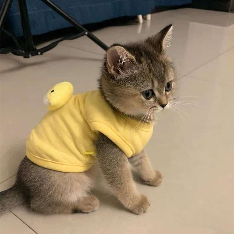 猫服  コスプレ | ヒヨコ風ペット用コスチューム