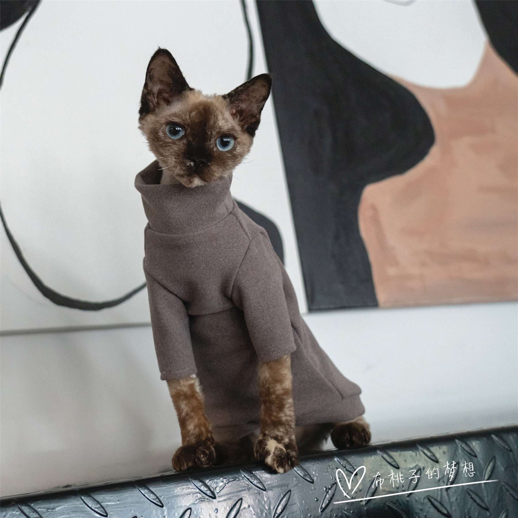 猫服  防寒服 | もこもこ猫ちゃん用タートルネックセーター