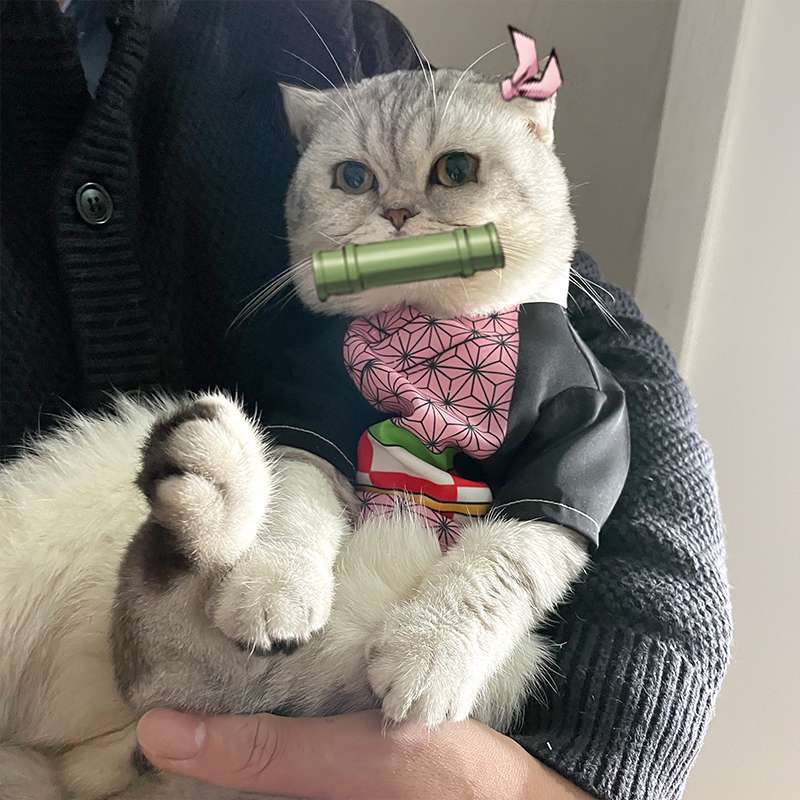 猫服  コスプレ | 忍者猫変身セット 〜和風モダンスタイル〜