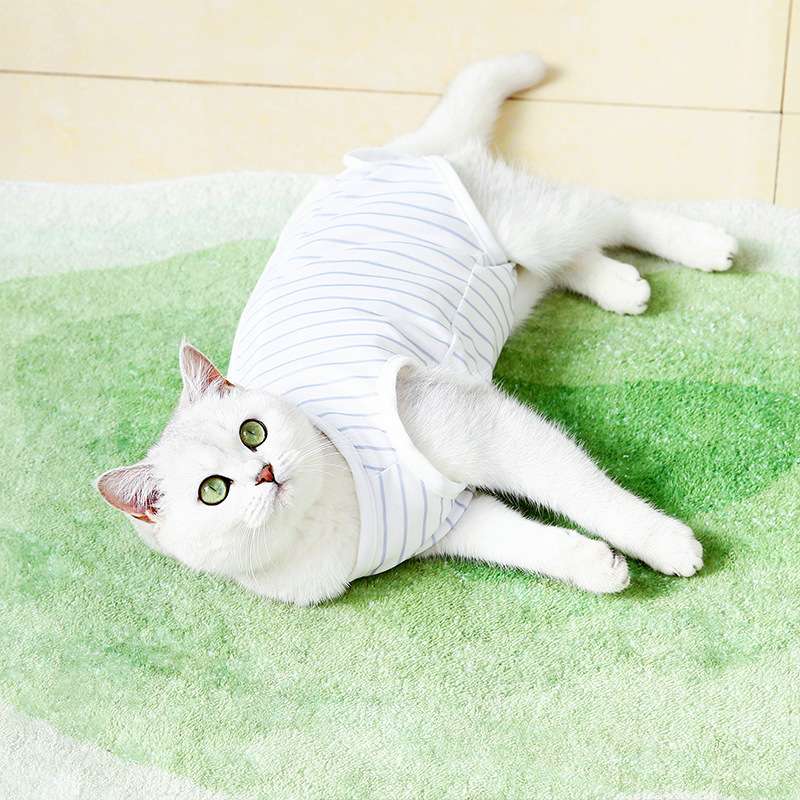 猫服  術後服 | 優しい包み込み猫用術後ウェア