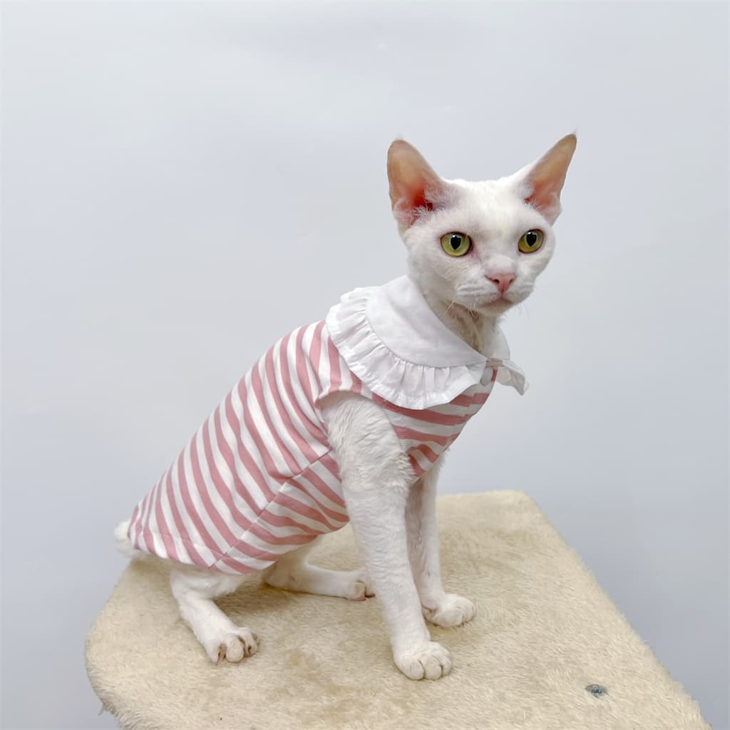 猫服  洋服 | ふんわりフリル付き縞模様ワンピース