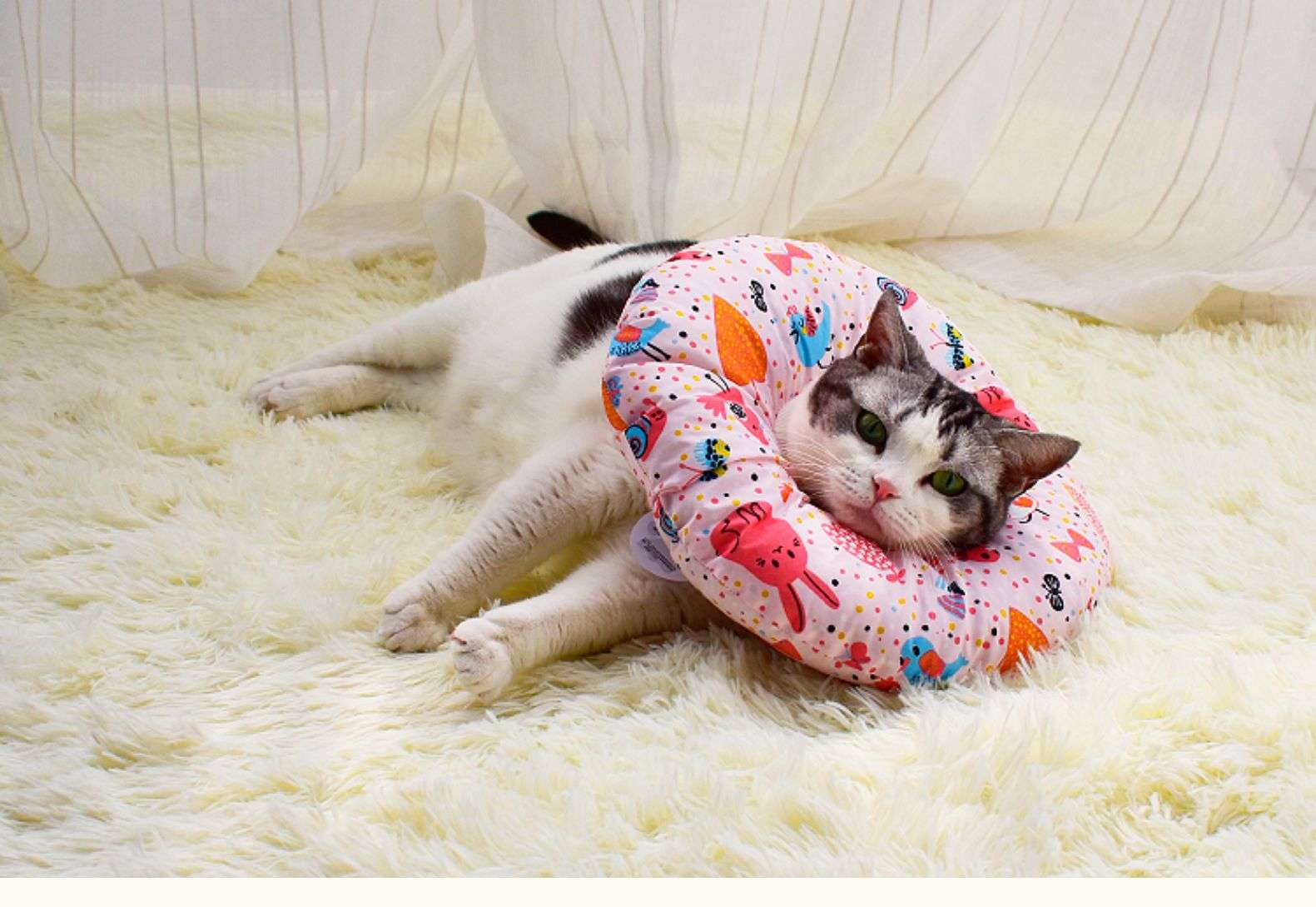 猫服 猫 エリザベスカラー | ふわもこペット用プリントエリザベスカラー