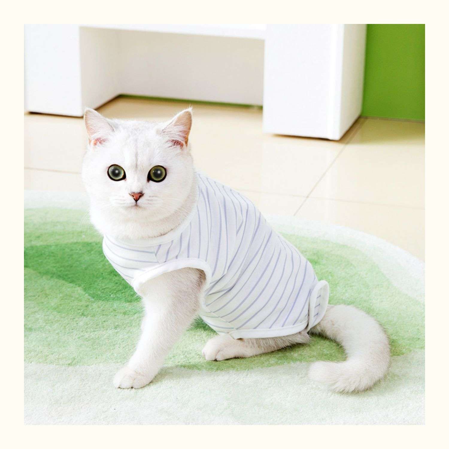 猫服  術後服 | ふわもこ猫ちゃん術後ウェア