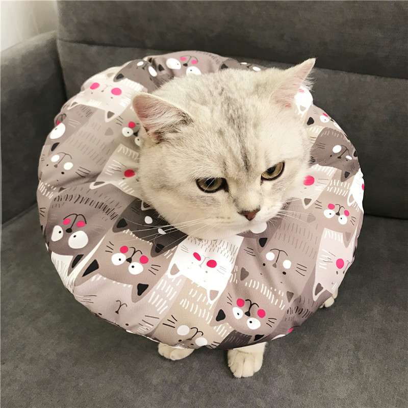 猫服 猫 エリザベスカラー | 猫用かわいいイラスト柄エリザベスカラー