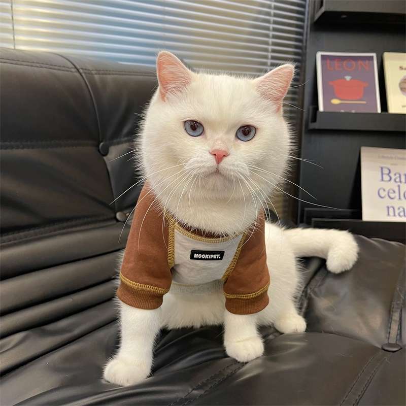 猫服  洋服 | ペット用おしゃれカジュアルウェア3点セット