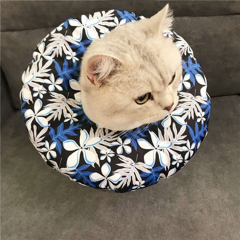 猫服 猫 エリザベスカラー | 猫用かわいいイラスト柄エリザベスカラー