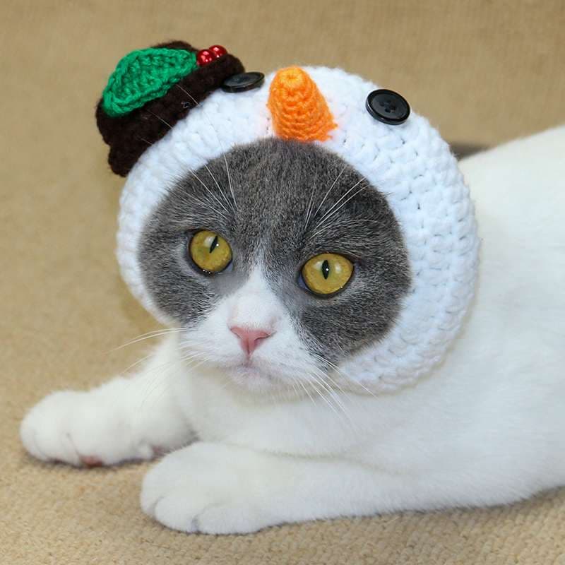 猫服  帽子 | 雪だるま風ニット帽