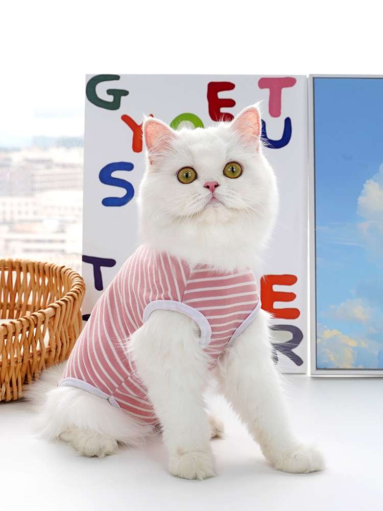 猫服  洋服 | ふわもこ猫ちゃんのストライプシャツ