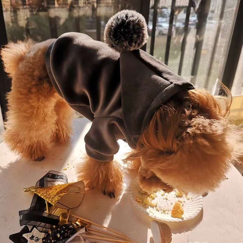 猫服  防寒服 | もこもこフード付き猫用パーカー