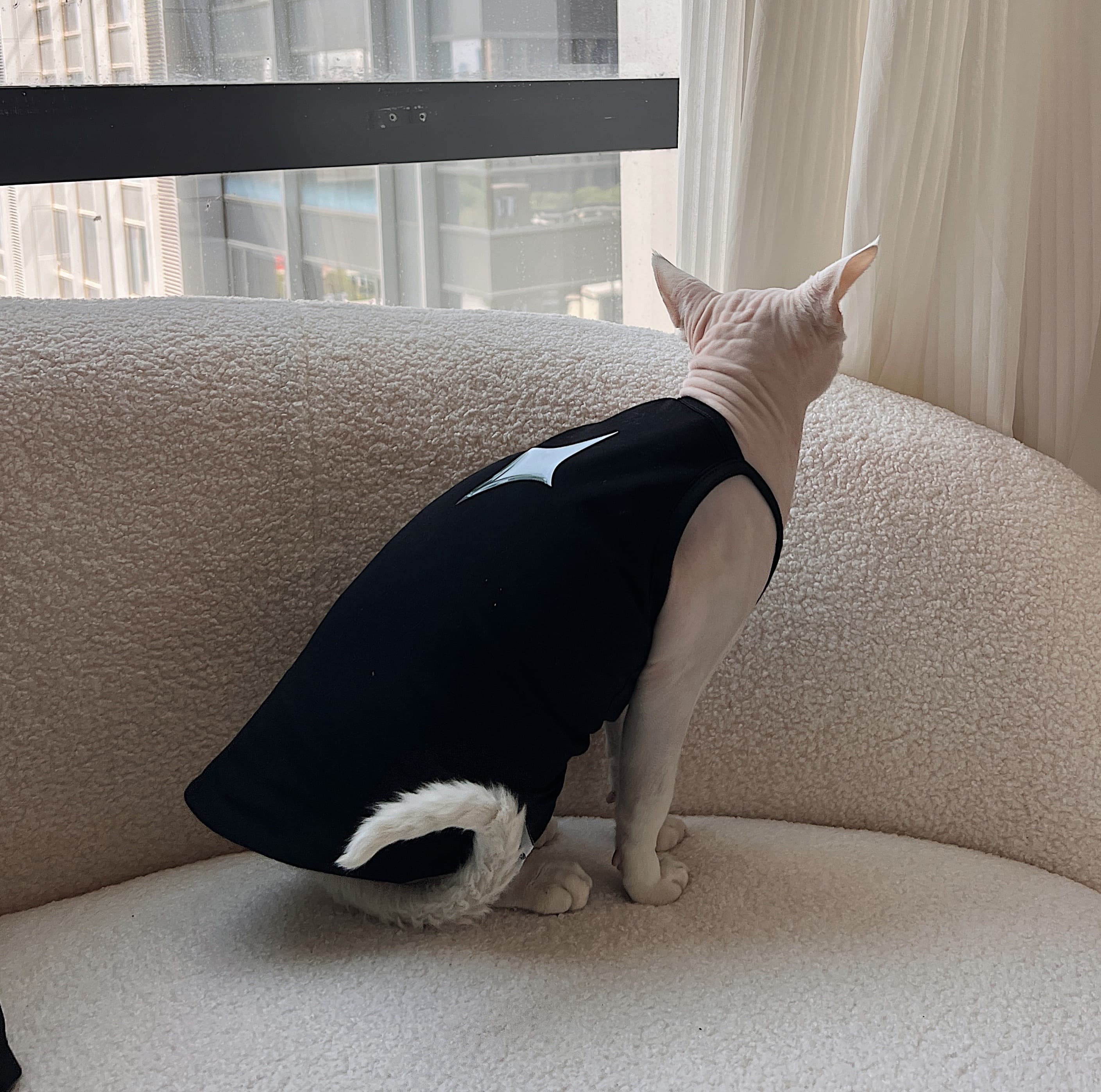 猫服  洋服 | シンプル タンクトップ